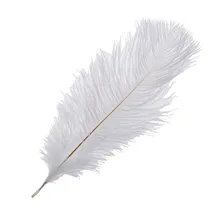 10 штук белые натуральные страусиные перья 20-25 см Свадебные DIY