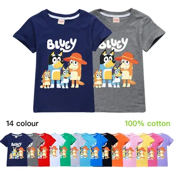 

Girls Tops New Fashion Kids 2018 Sport Kids T Shirt Cotton Bingo Bluey Boys Shirts Big Brother Little Brother Children Clothes