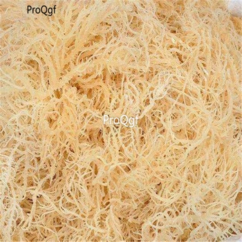 

Ngyrise 100pcs a set Gelidium amansii Lamouroux