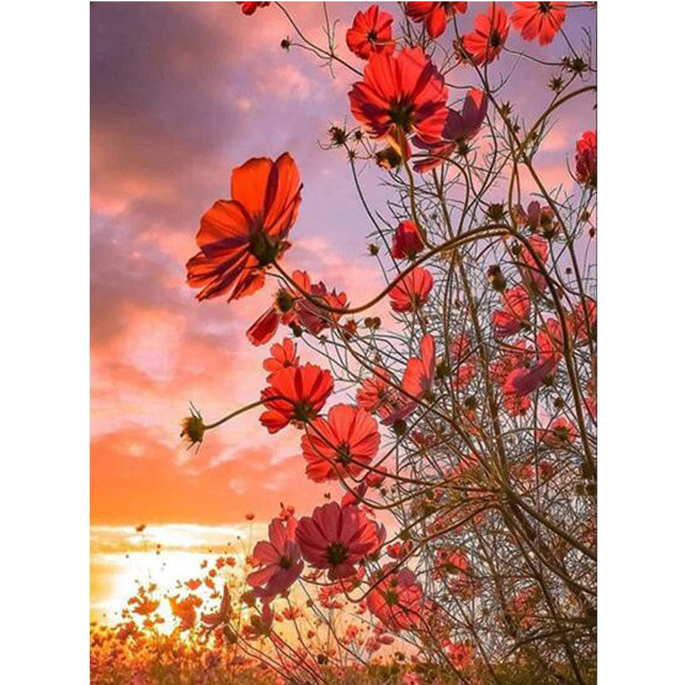 Square Round Drill 5D DIY Diamond Painting Poppy flower Sunset landscape mosaic diamond Embroidery 3D decor Crafts Gift P1385 | Дом и сад