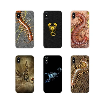 

Animal Centipede And Scorpion Accessories Phone Bag Case For Samsung A10 A30 A40 A50 A60 A70 M30 Galaxy Note 2 3 4 5 8 9 10 PLUS