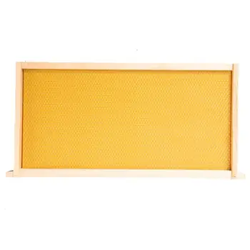

10pcs Waxed Foundation With Frames Beehive Kit Wax Coated Bee Hive Frames Beeswax Coated Foundation Sheet Beekeeping Tools