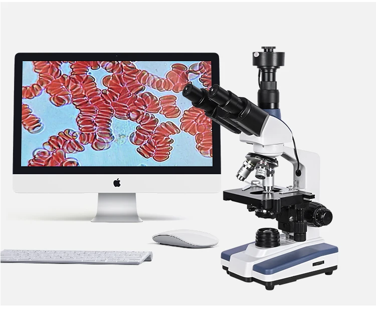 9英寸三目一滴血_19