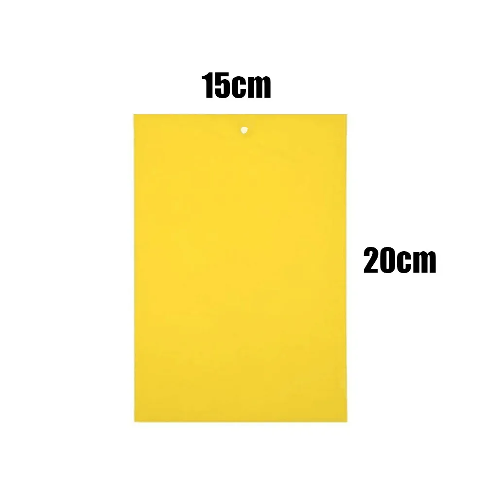 4 - CNN80625437_20180625072857828