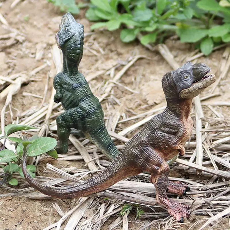 (霸王龙幼崽)