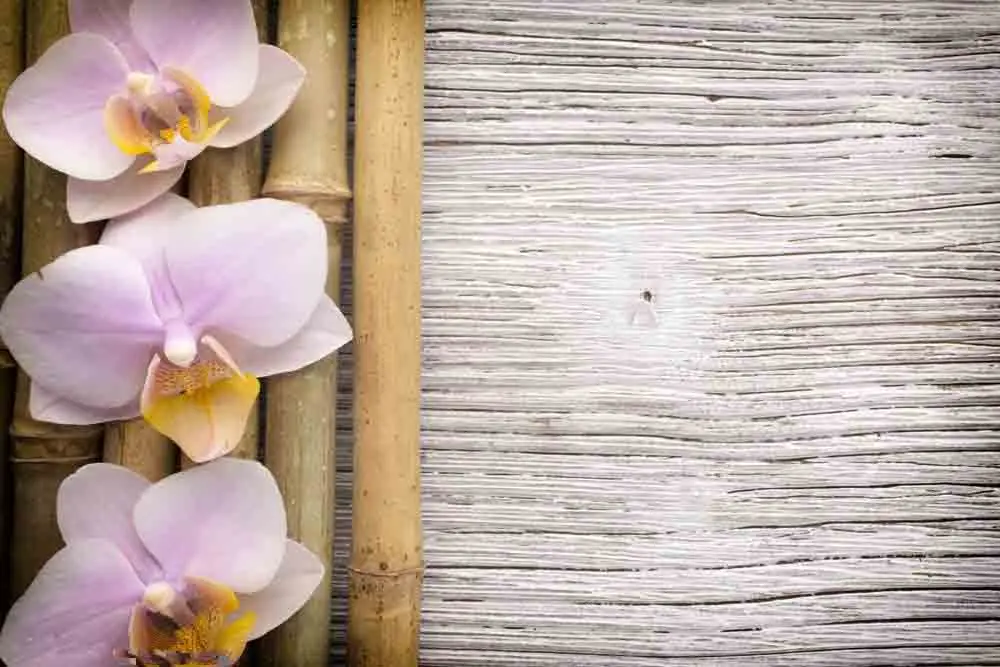 

SHENGYONGBAO Vinyl Custom Photography Prop Floral and Wood Planks theme Photo Studio Background TW19912-521755