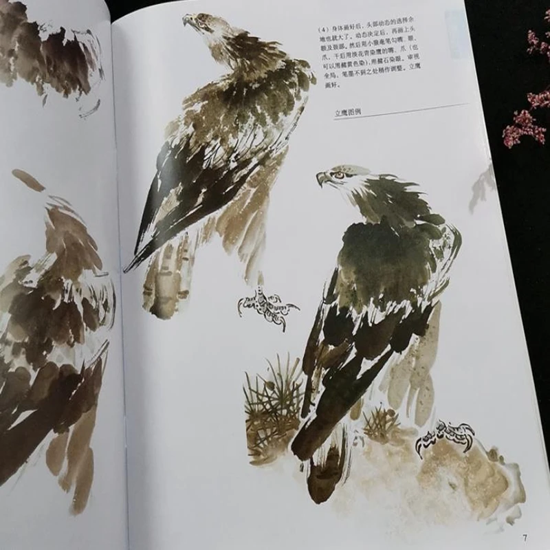 Birds Eagle Chinese Painting Sumi-e Outline Sketch Tattoo Flash Reference Book 