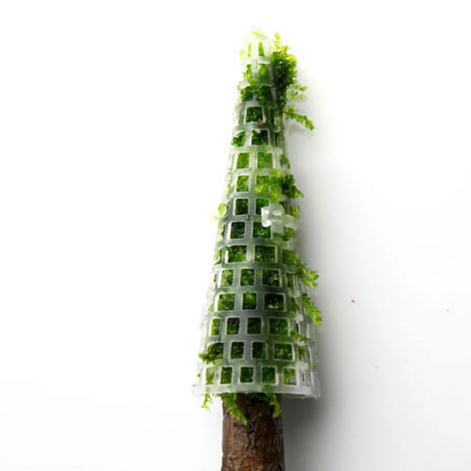 5 1 Inches Plastic Moss Tree Christmas Trees Moss Ball Decor Aquarium Fish Tank Diy Tree Decorations Tool Decorations Aliexpress