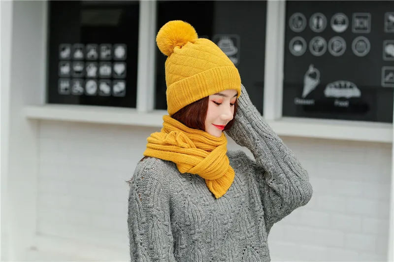 11954001681_836511872_副本