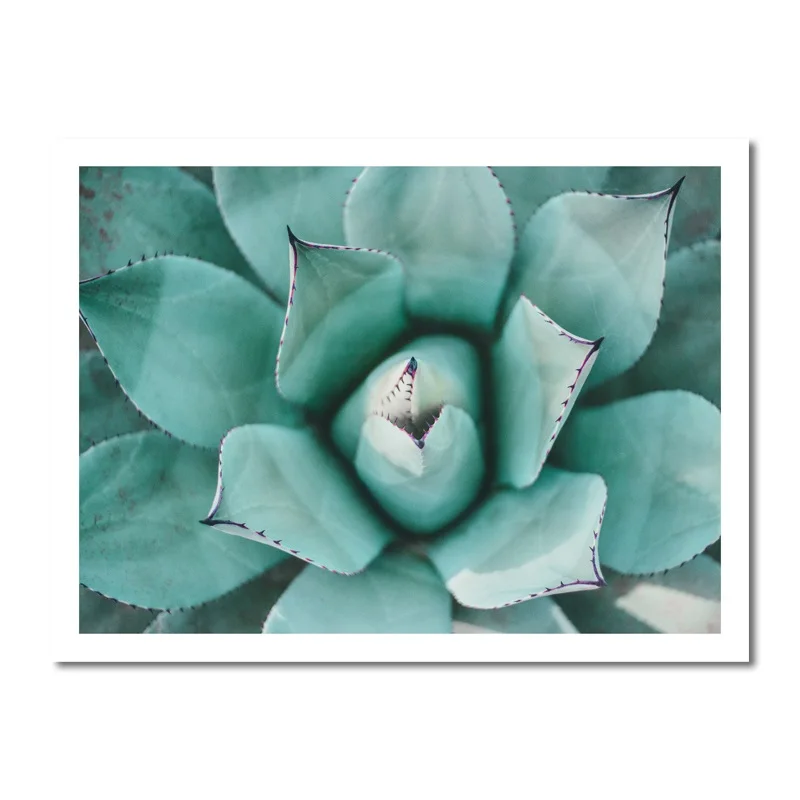 Green-Plant-Aloe-Cactus-Pineapple-Small-Fresh-Art-Painting-Living-Room-Sofa-Background-Wall-Hanging-Picture (10)