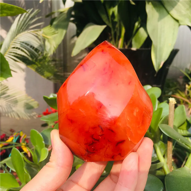 2020_12_10_13_06_IMG_2365