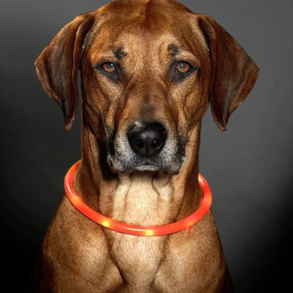 CP82001-C-19121108-1