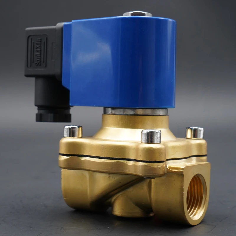 DC24V AC220V 110V 24V,SMS Large diameter Direct Acting Normally Closed Solenoid Valve,brass Water valve,