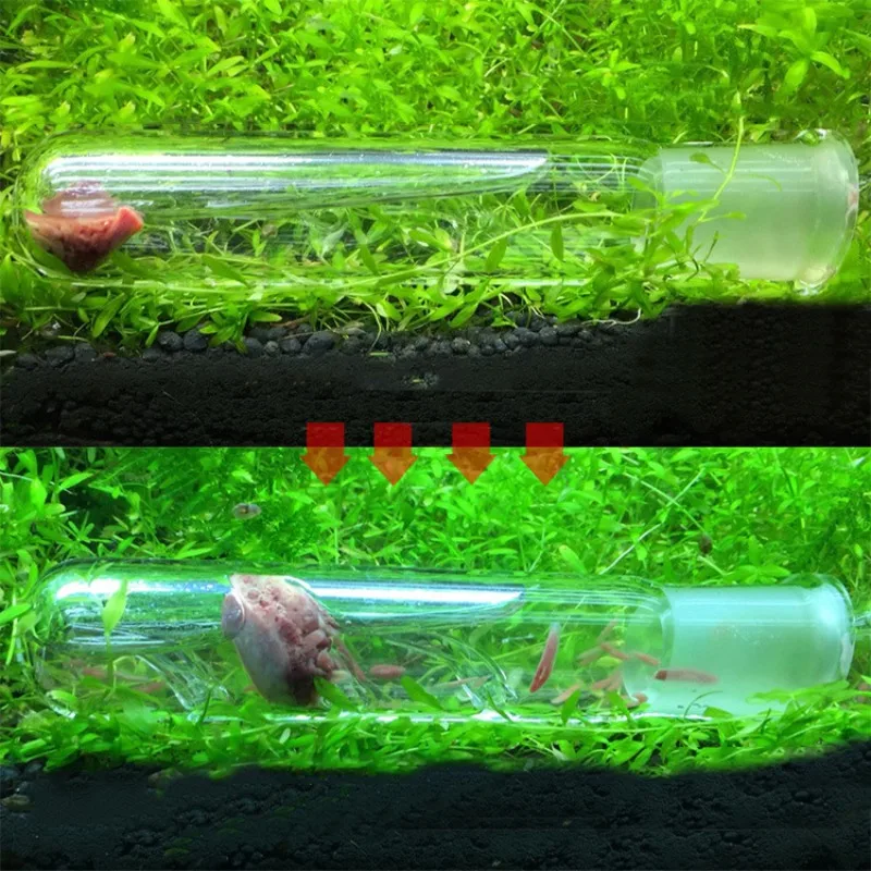 Аквариум червь ловушка аквариум вредители ловушка стекло Прозрачный Ловец пиявок для планетарного Flatworm