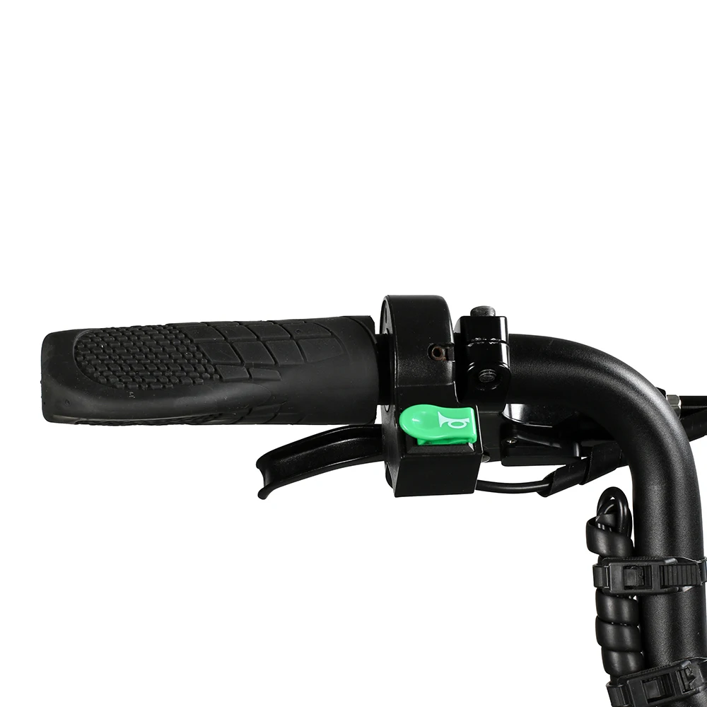 Sale E6-7  Hot selling  EcoRider  250W 48V Foldable Electric Bike Electric Bicycle with Lithium Battery 1