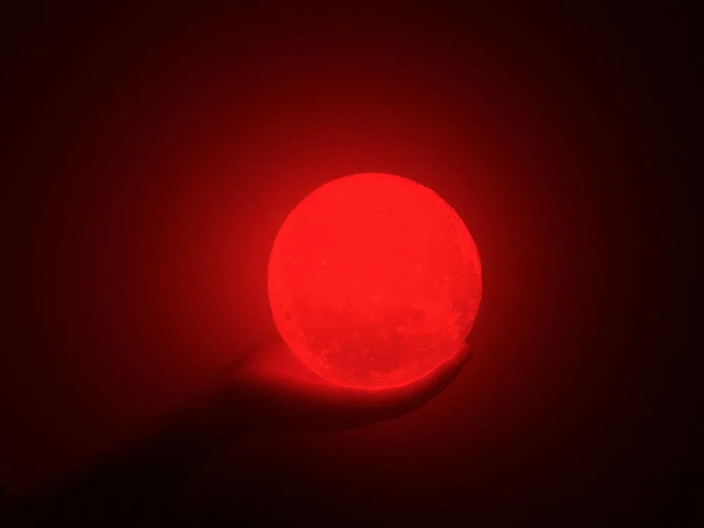 1C9F255D-6897-4065-AAC1-92DF2859DA02_org