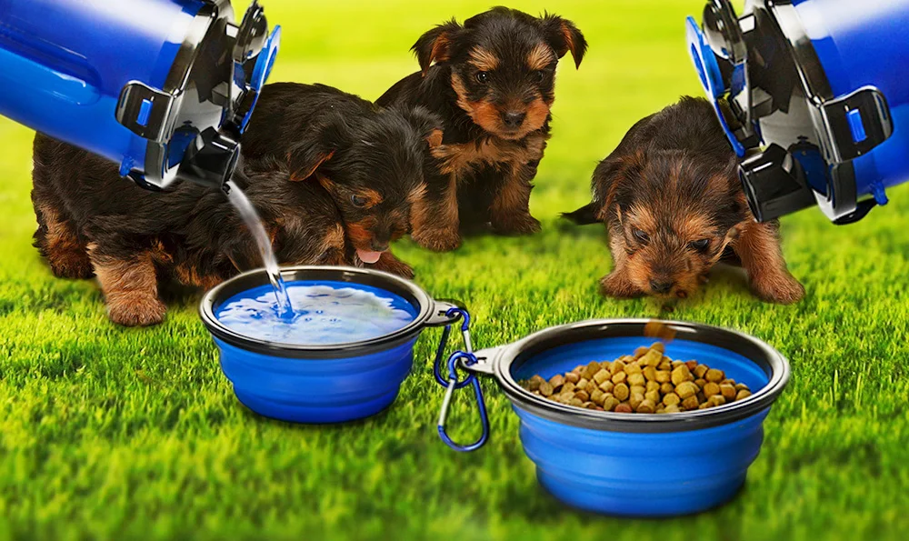 00000