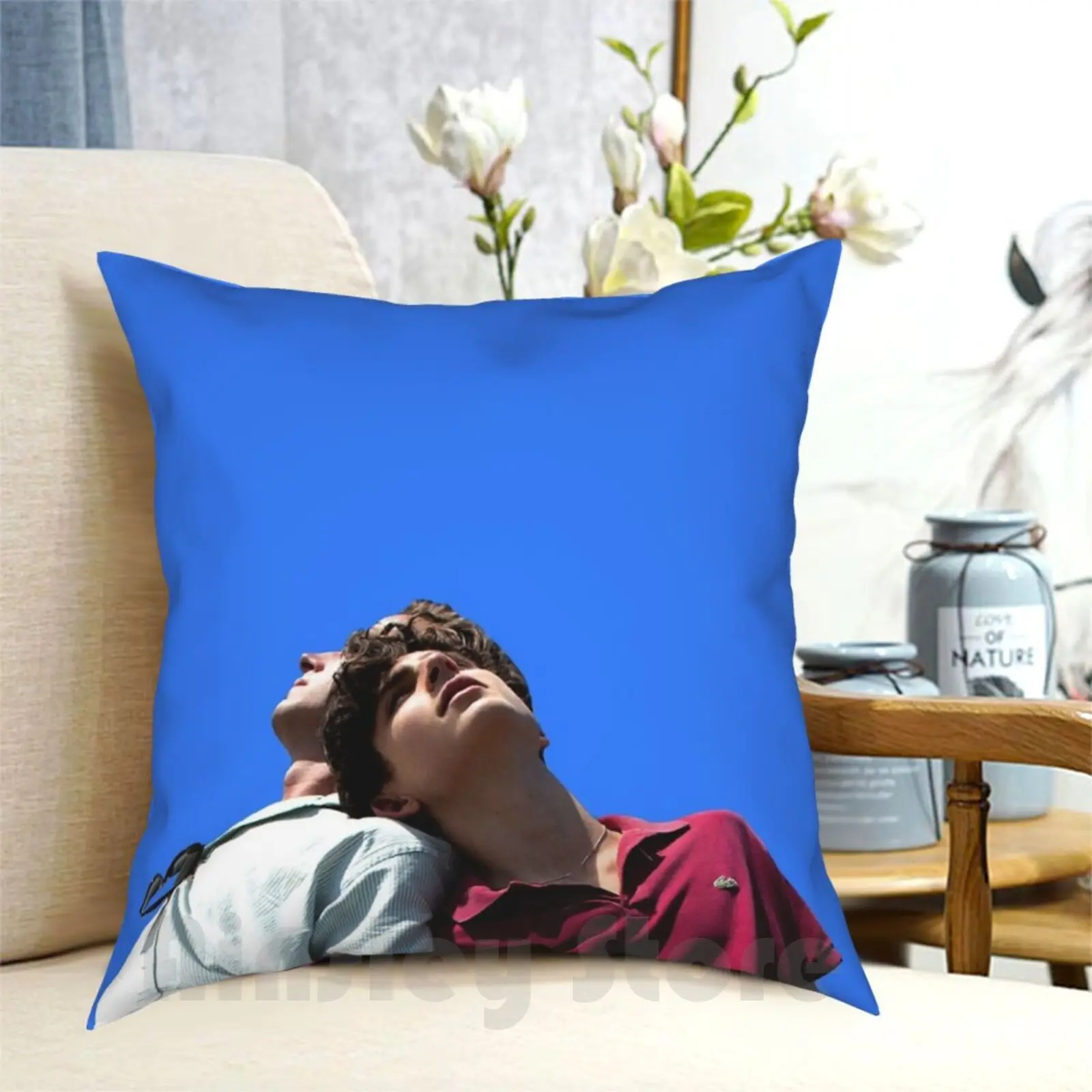 Elio E Oliver Federa Per Cuscino Stampata Casa Morbida Fodera Per Cuscino Fai Da Te Elio Perlman Oliver Elio E Oliver Timothee Chalamet