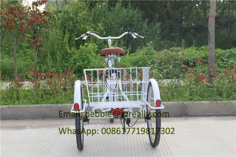 tricycle bike (7)
