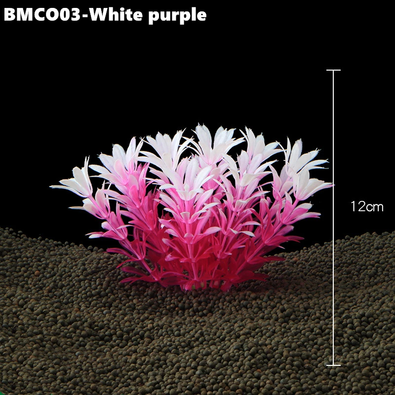 BMCO03 (4)