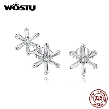 

WOSTU Snowflake Stud Earrings Authentic 925 Sterling Silver Shiny Zircon Tiny Earrings For Women Elegant Luxury Jewelry CTE425