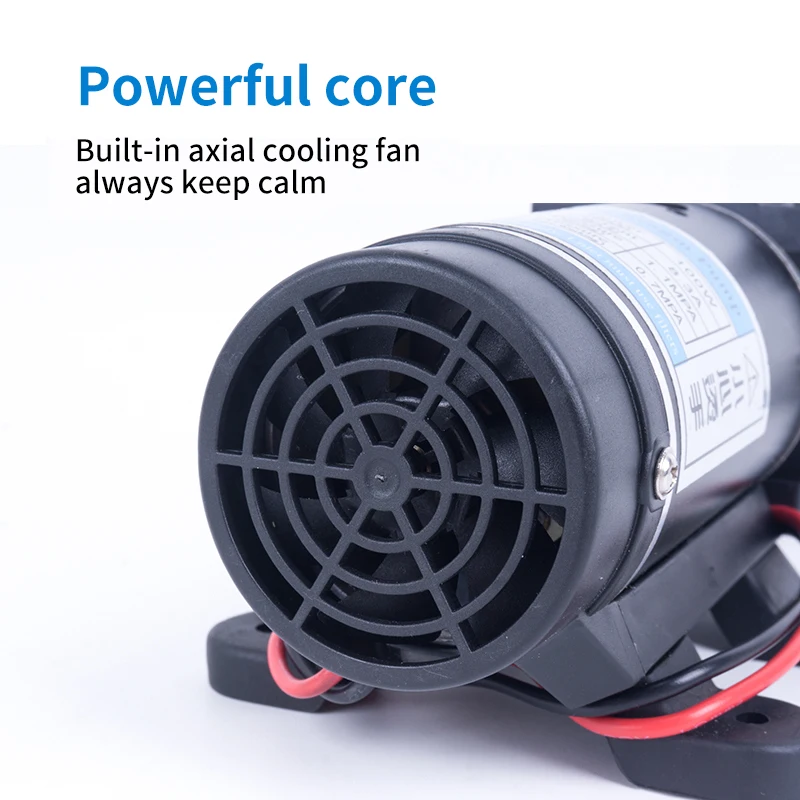 Tanie 12V 24V 120W 130PSI 10L Min typ elektryczny FIlm wodny wysokociśnieniowa pompa zastrzykowa do ogrodu zawór zwrotny