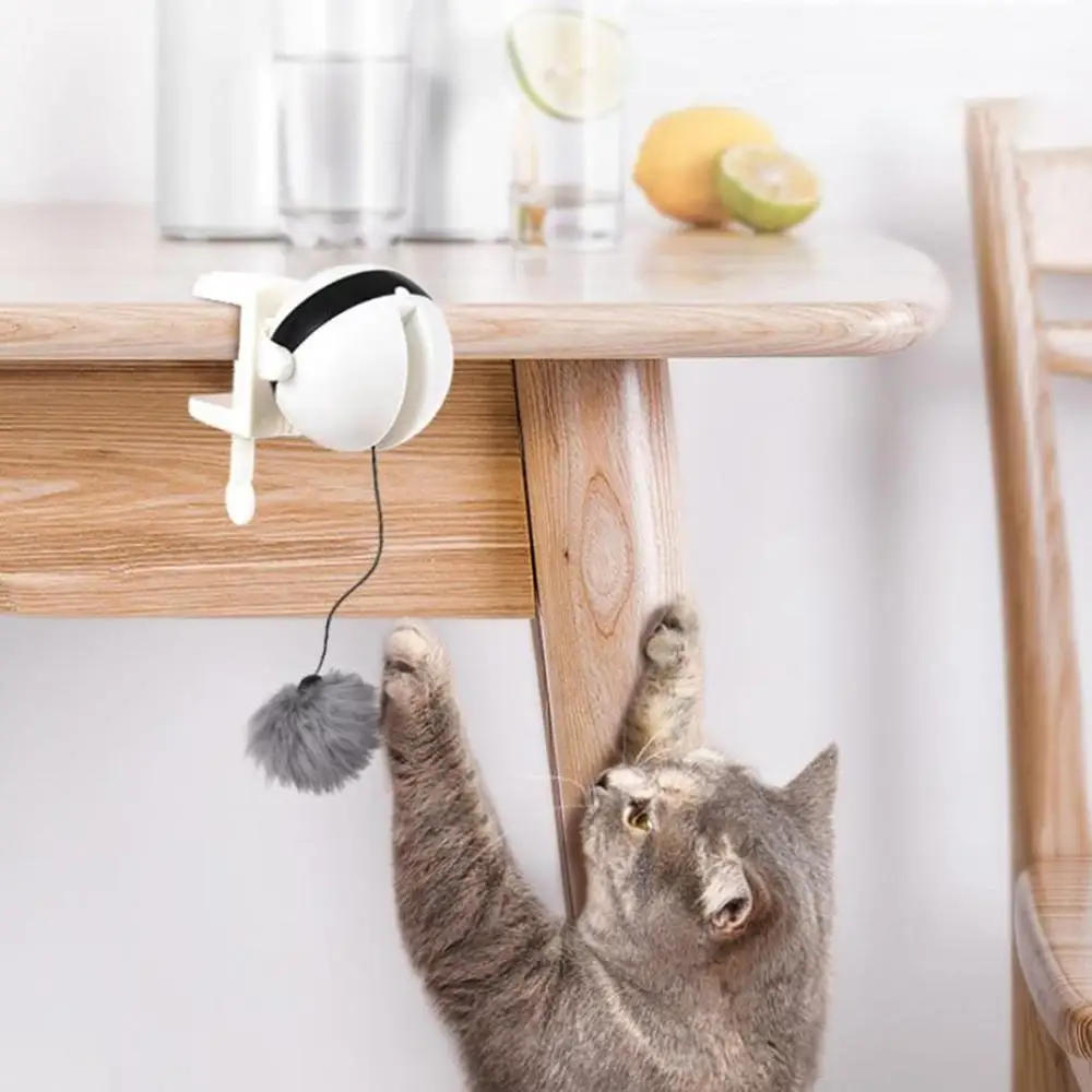 

Automatic Motion Cat Toy Interactive Cat Teaser Toy Yo-Yo Lifting Ball Easy Installment Rabbit Hair Cat Playing Toy Diameter 7cm
