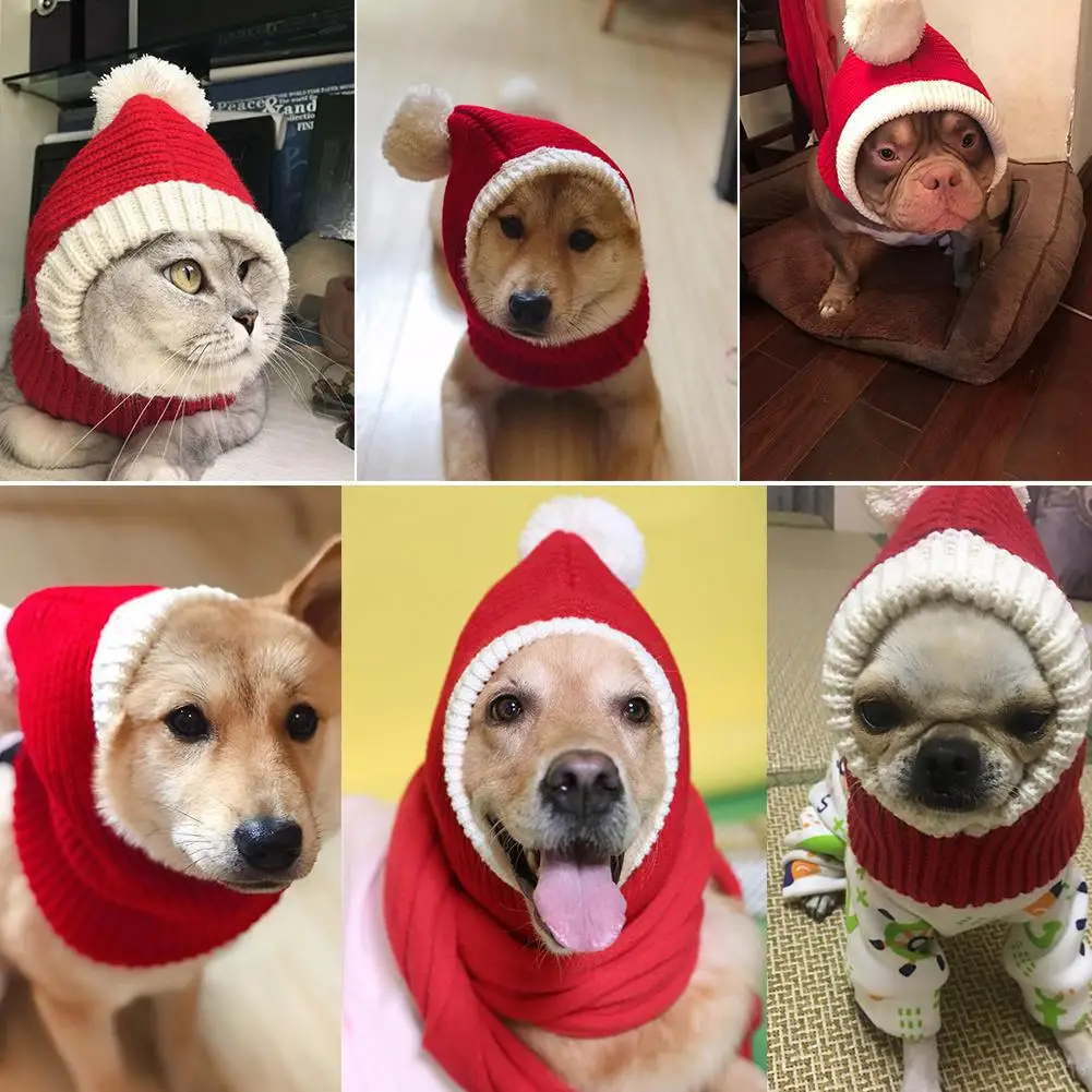 Новое поступление теплая Красивая осенне-зимняя Новогодний для домашних собак шляпа для Шиба ину Французский бульдог порода собак Тэдди бишонфризе золотой ретривер