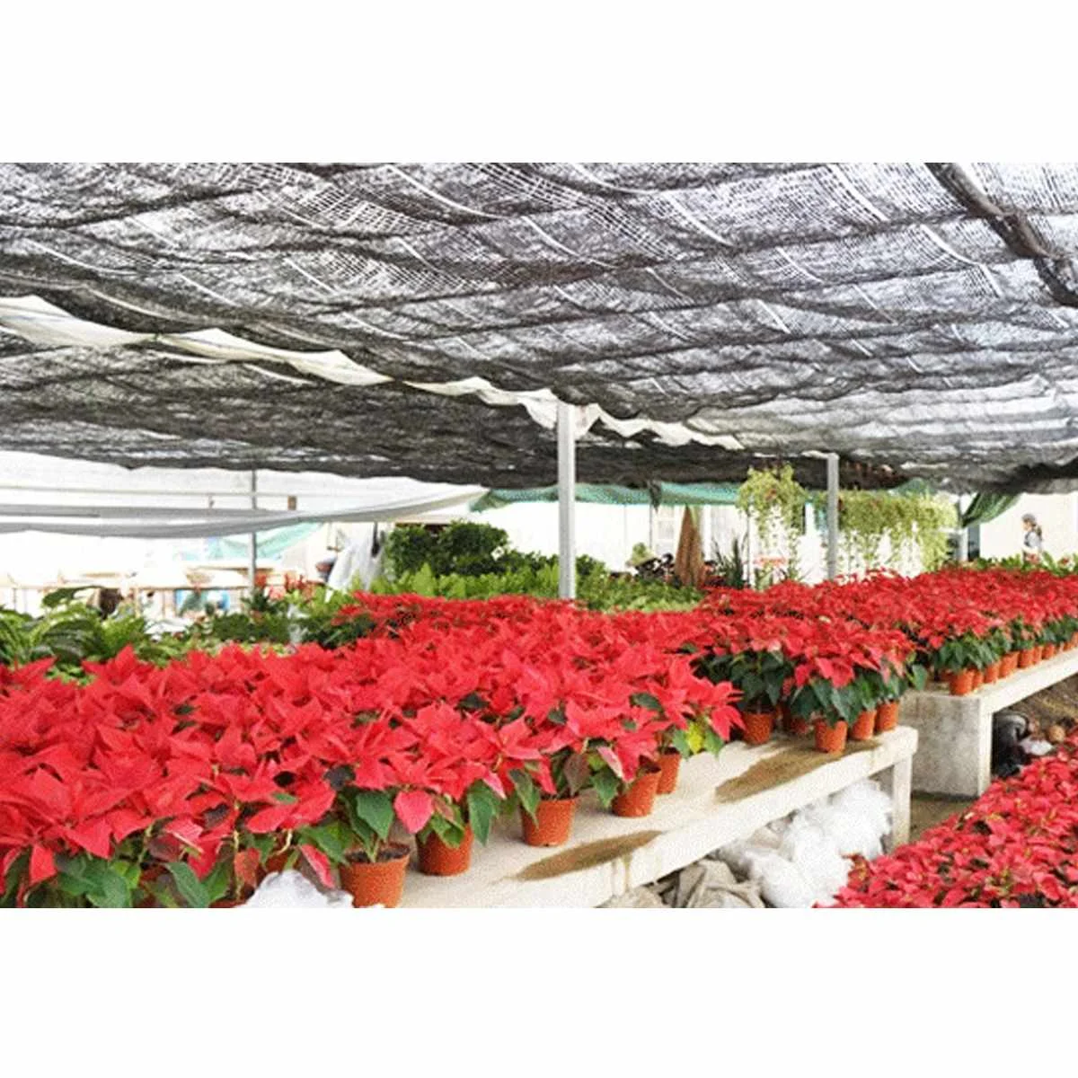 

6x3m 40% Shade Cloth Net Sunblock Sun Shade Anti UV for Parking Garden Plant Vegetable Cover Outdoor Sunshade Canopy Greenhouse