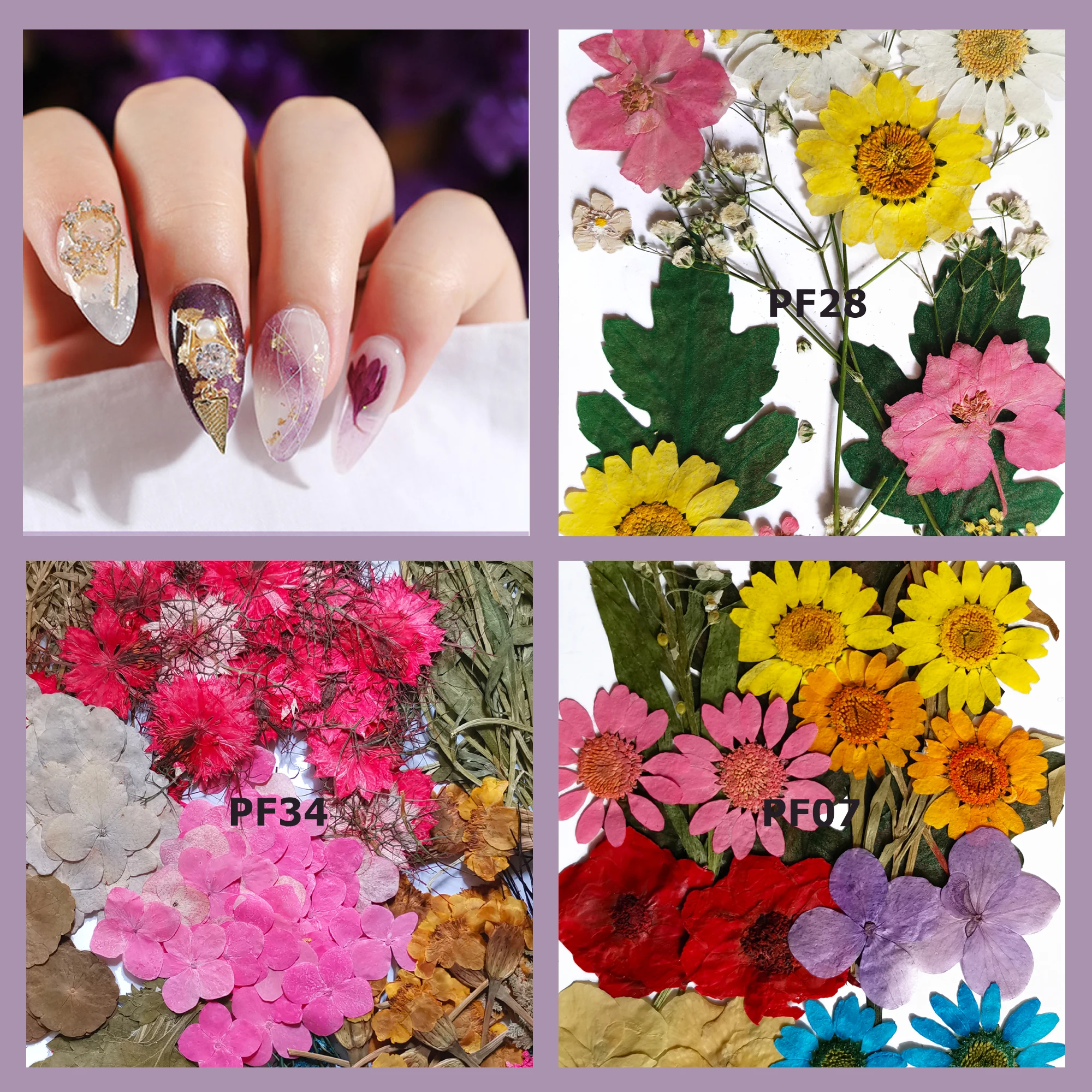 Small Dried Flowers,mix Dry Flowers,flowers for Resin Filling