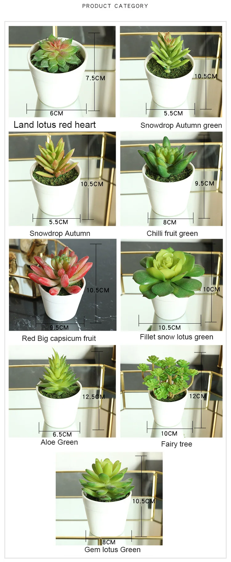 12215428566_1245478559