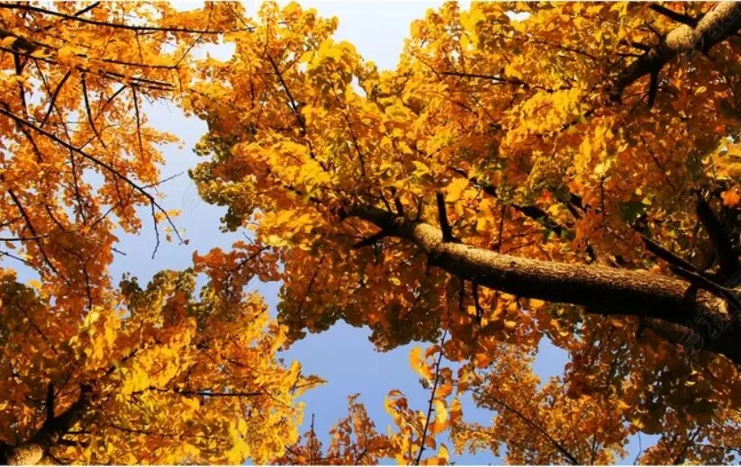 QQ截图20200627145905