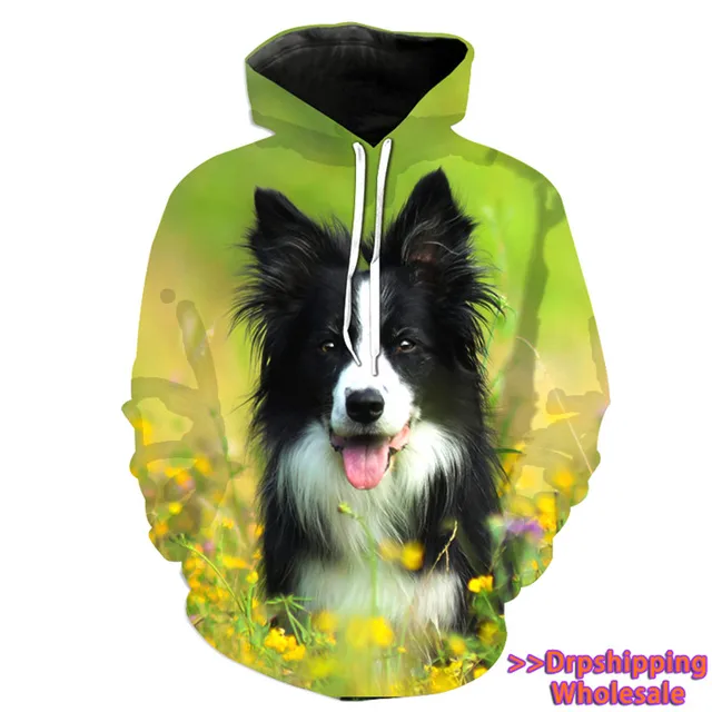 border collie jumper