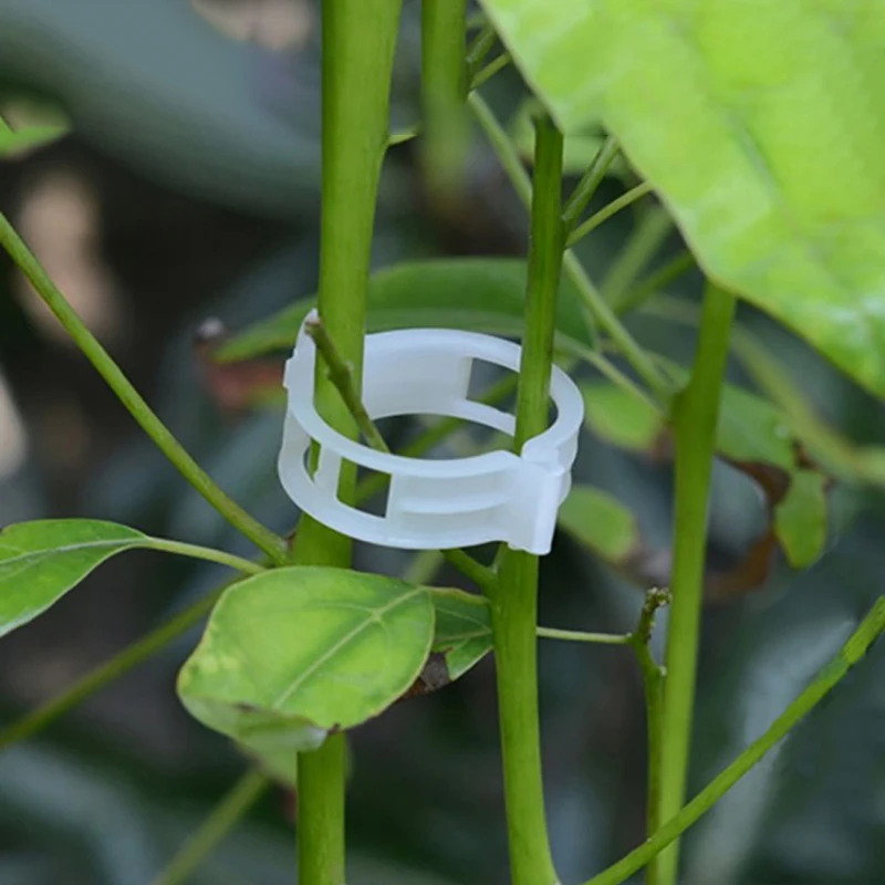 50Pcs Planting Support Garden Clips For Vine Vegetable Grow Tomato Stem Clamp