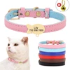 Cute Cat Personalized ID Collar Engraved  Kitten Puppy Name Collars Necklace For Small Medium Cats With Bell Fish Tag Nameplate 1
