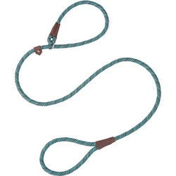 Ceinture de Traction en Polyester, sangle de poitrine, collier de laisse pour chien, boucle réglable 2 en 1, harnais confortable pour animaux de compagnie, laisse Pit Bull 