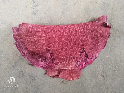Красочные подлинные ската натуральный manmanta Ray рыбьей кожи штук для DIY кожа ремесленные часы ремень нож ручка материал 1,5 мм - Color: Wine Red
