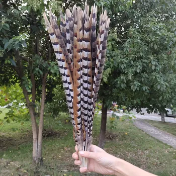 

Wholesale 100pcs High Quality 14-16inch/35-40cm Natural Copper Tail Chicken Feathers Stage Performances Craft Making Decoration
