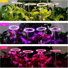 

Plant Growing Led Crescer Luz Usb Phyto Lâmpada De Espectro Completo Lamp Com Controle Phytolamp Para Plantas Mudas Flor Tenda C