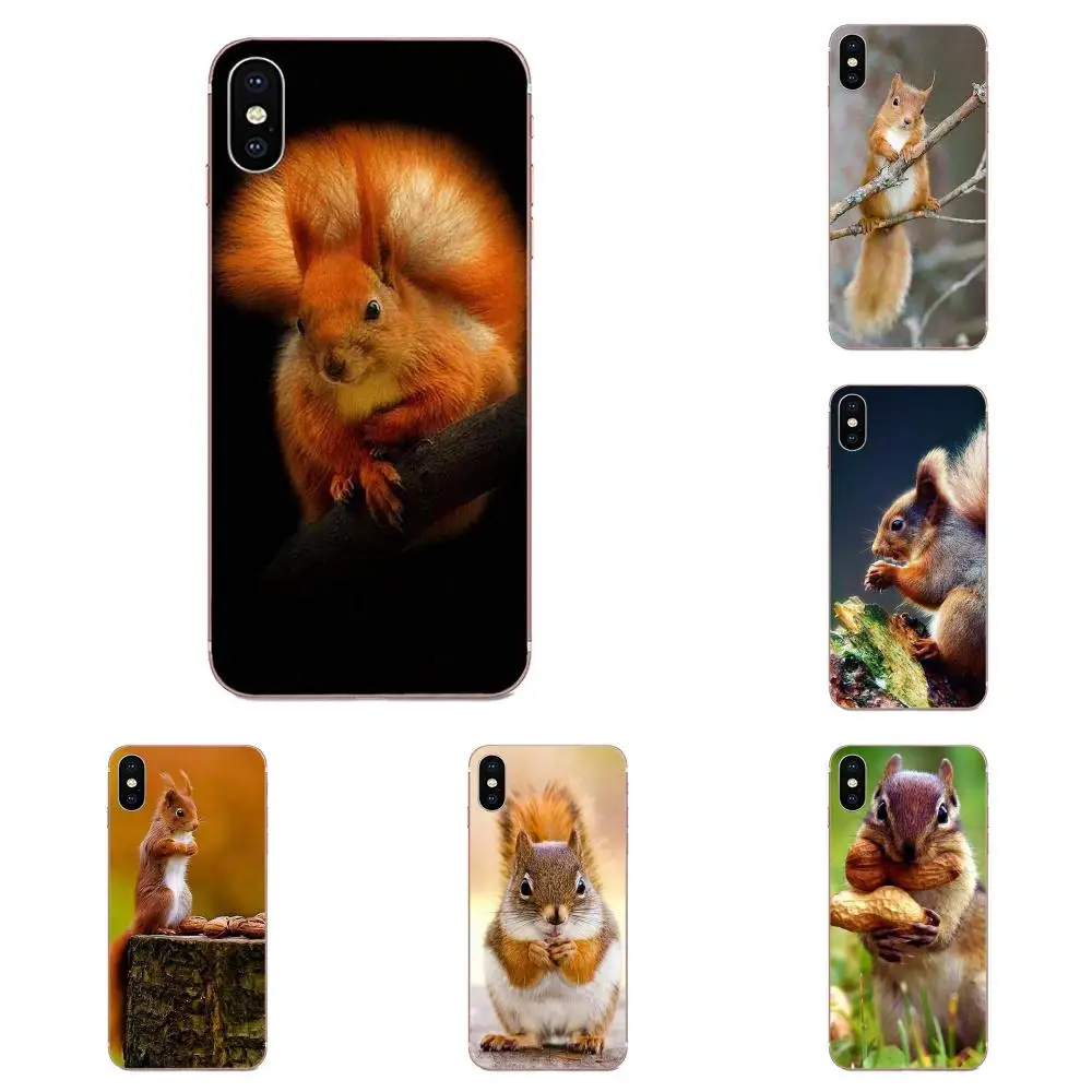 Чехол из ТПУ для Xiaomi Redmi Mi 4 7A 9T K20 CC9 CC9e Note 7 8 9 Y3 SE Pro Prime Go Play Red Squirrel Sciurus Vulgaris |