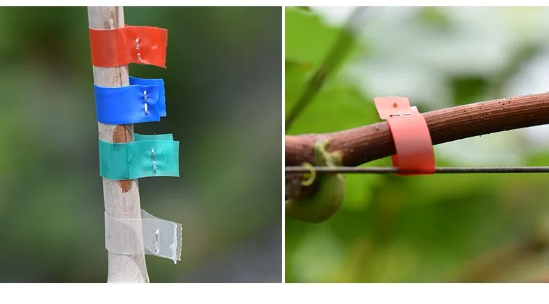 HTB1CLaUJVXXXXbVXFXXq6xXFXXXX