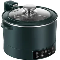 220V Stainless Steel Inner Household Electric Rice Cooker 3L Automatic Lift Hot Pot Low Sugar Rice Cooker White/Green Color 1