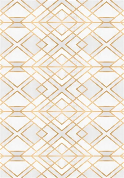 Fashion Modern Nordic carpet Metal Geometry Gold Line large rugs kids Bedroom Living Room soft Kitchen Bedside Carpet Door Mat - Цвет: 4