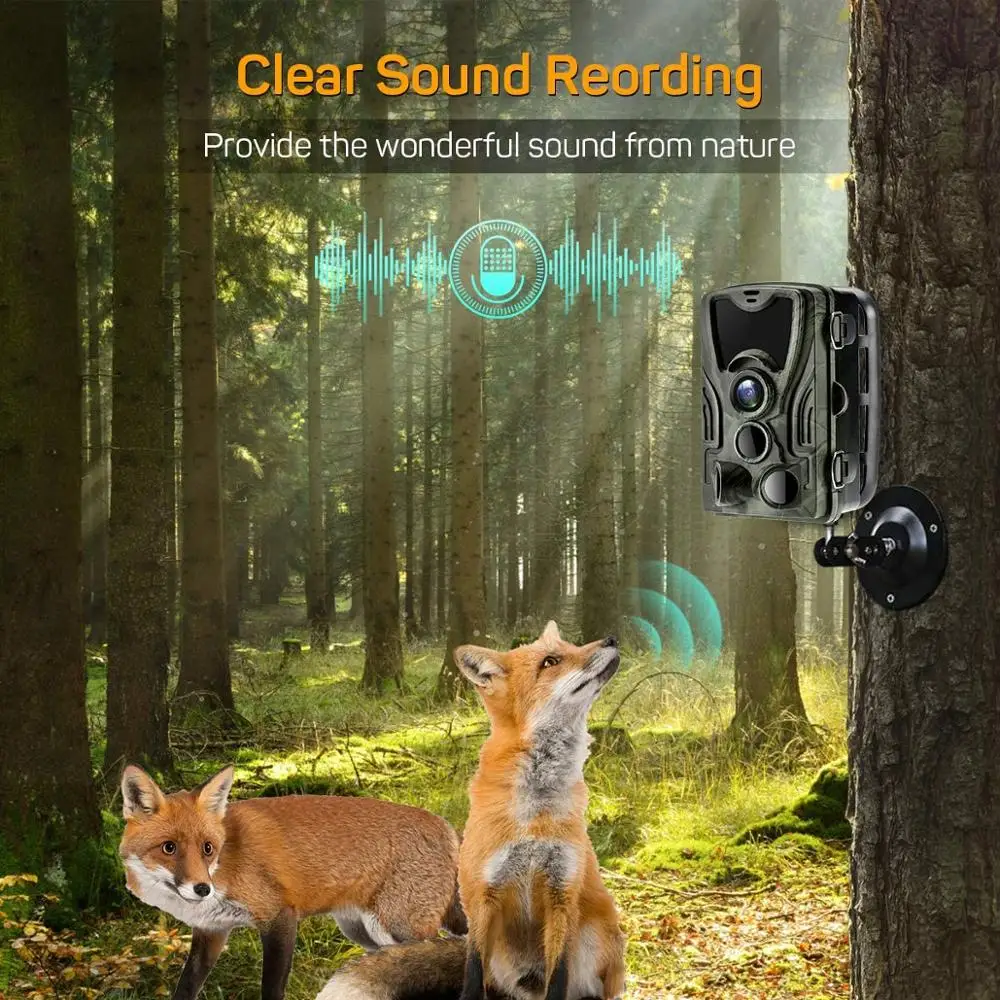 WIFI Trail Camera APP Live Show Hunting Cameras 24MP 1296P Wildlife WIFI801B Night Vision Outdoor Surveillance