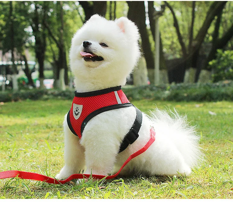 14422991827_609020808