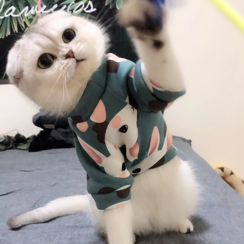Милый принт, костюм для питомцев, кошек, толстовка с капюшоном, зимняя теплая одежда для кошек, мягкий флис, щенок, кеди, одежда, пальто, товары для животных