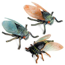 cicada toy