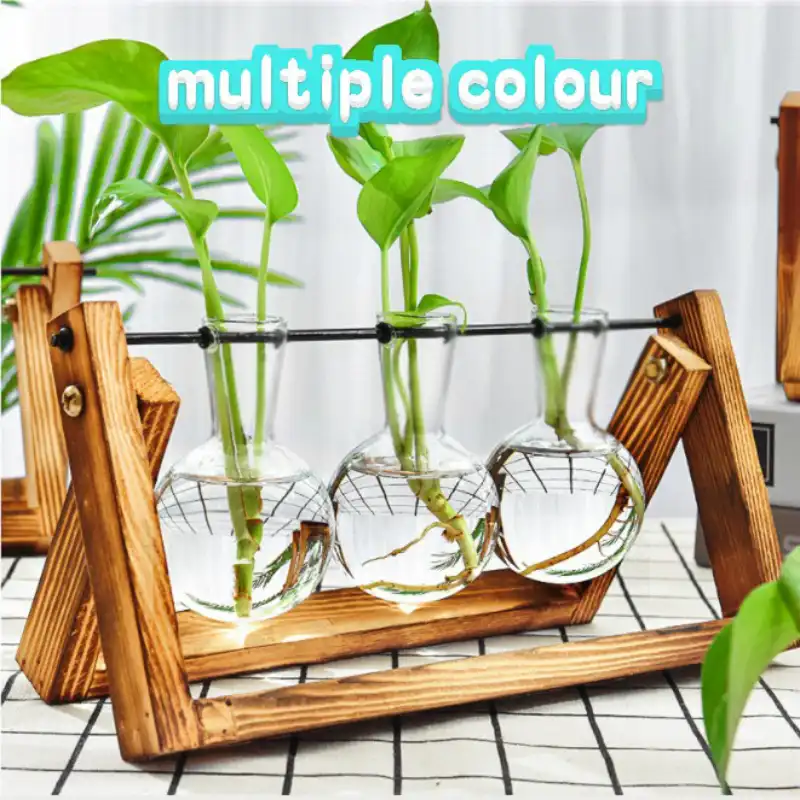 Creative Wooden Frame Hydroponic Plant Glass Vase Desktop Ornament Office Decoration Water Culture Green Flower Aliexpress