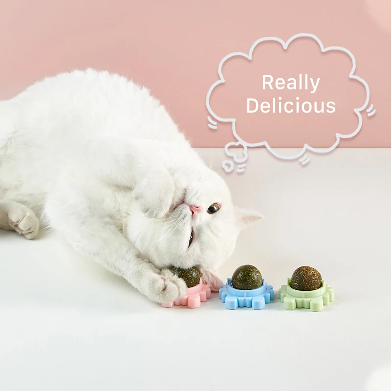 Boule de bonbons pour chat jouets en forme d herbe chat en cas l cher Nutrition