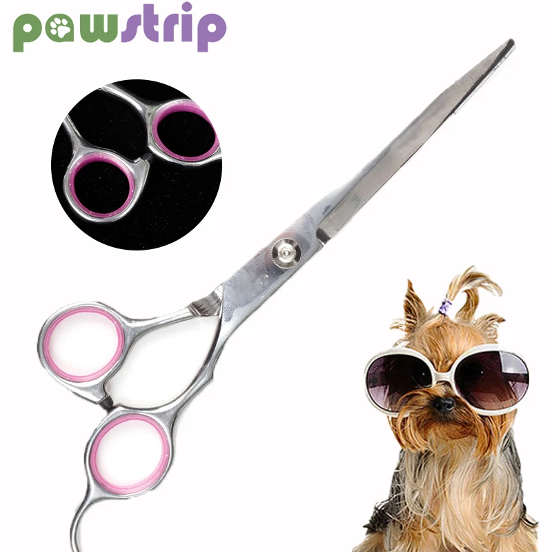 professional dog grooming tools
